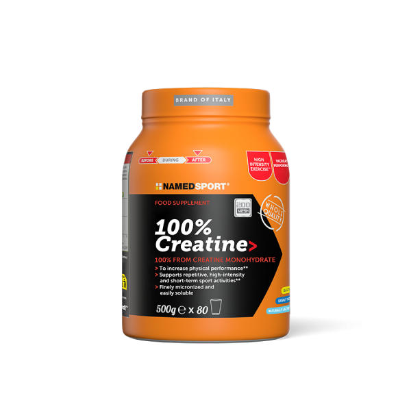 100% CREATINE - 500g - 200 mesh